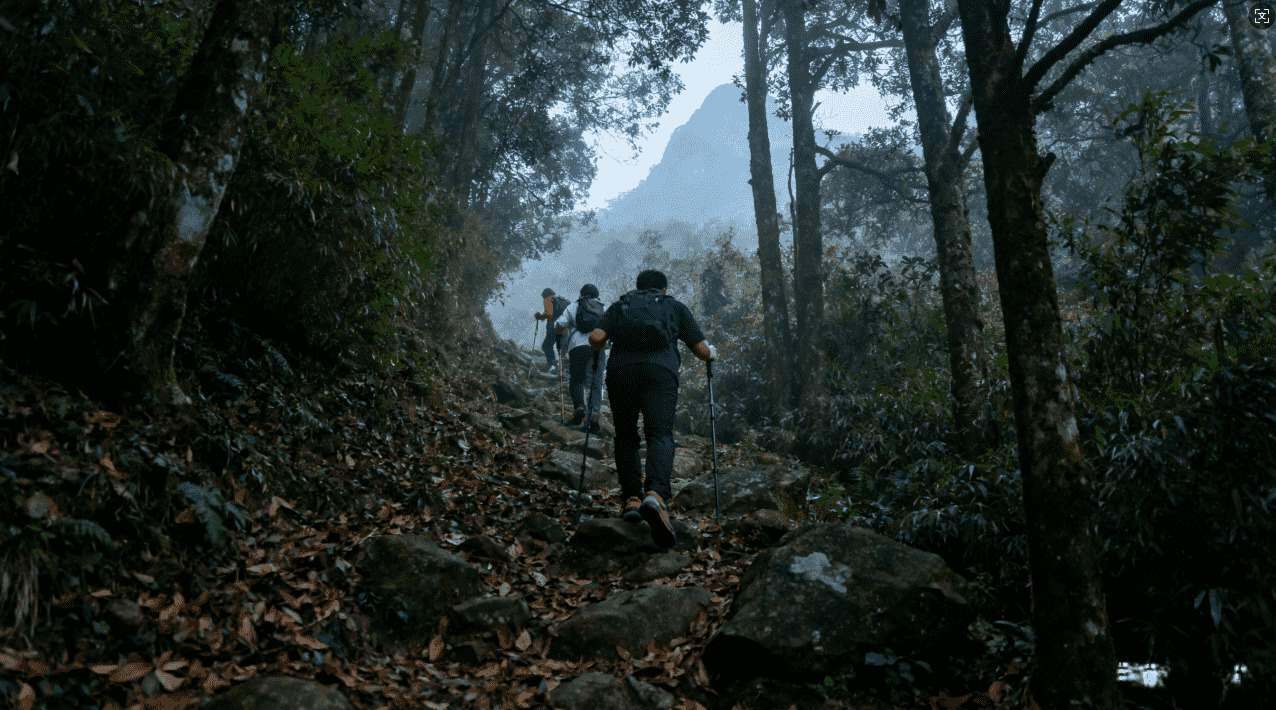 暴喵加速器影响游戏延迟的因素解析